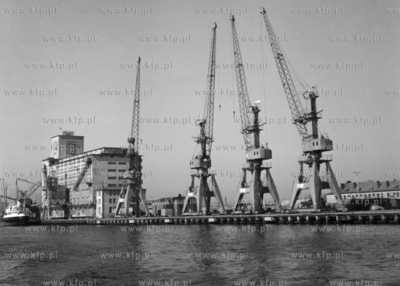 Dzwigi portowe w porcie gdańskim. (lata60). 1968 0008065z...