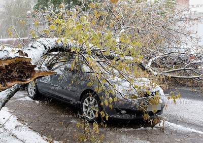 Nagly atak zimy w Warszawie.  Nz powalone drzewa na...