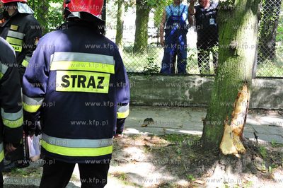 Sopot. Ul. Sepia. Wypadek samochodu Peugeot 206.  Samochod...