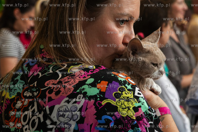Międzynarodowa wystawa kotów rasowych "Koty na Hawajach"...