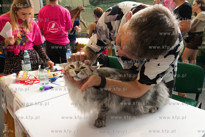 Międzynarodowa wystawa kotów rasowych "Koty na Hawajach"...