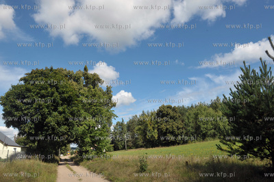 Wies Sulmin na Kaszubach w gmienie Zukowo. 24.08.2013...