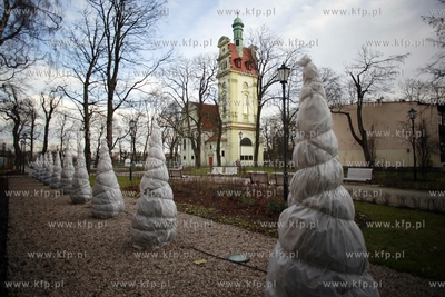Sopot. Park przy szpitalu balneologicznym. Krzewy zabezpieczone...