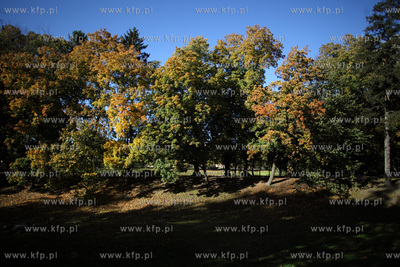 Gdansk. Park Przymorze.
17.10.2012
fot. Krzysztof...