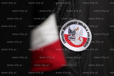 Rocznicowe obchody Powrotu Gdańska do Macierzy. Uroczystość...