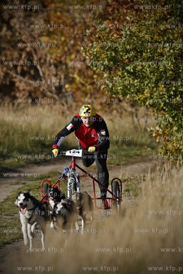 Gdańsk. Park Reagana. Pucharu Polski Psich Zaprzęgów...