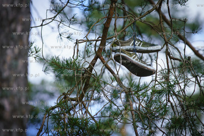 W powiatowym Centrum Młodzieży w Garczynie przebywają...