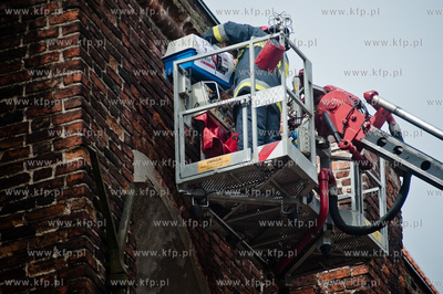 Gdansk. Akcja ratunkowa kaczki krzyzowki oraz jej nowo...