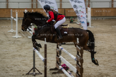 Hipodrom Sopot. Hala Pomarańczowa. Halowe Zawody w...