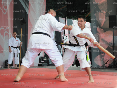 III Ogolnopolski Zlot Fanow M jak Milosc. Pokaz karate...