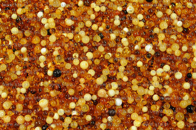 Amberif 2010. 17. Miedzynarodowe Targi Bursztynu, Bizuterii...