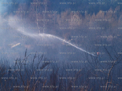 Gdansk. Groznego pozaru na terenie bylego poligonu...