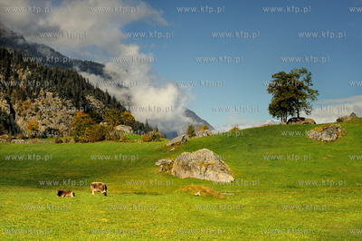 Szwajcaria, Guttannen, Berno. Jesienne Alpy w okolicy...