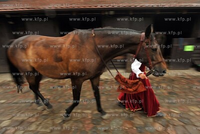 Gniew Zamek XXIII Miedzynarodowy Turniej Rycerski Krola...