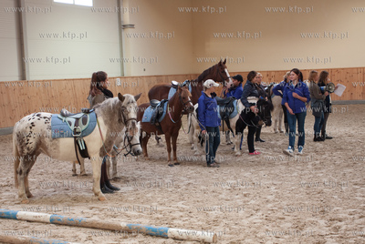 Szkolka jazdy konnej Galoopka zorganizowala dla swoich...
