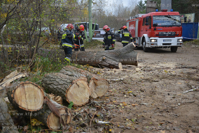 Strazacy usuwaja przewrucone przez wichure drzewo w...