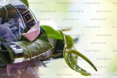 43. Festiwal Polskich Filmów Fabularnych. 20.09.2018...