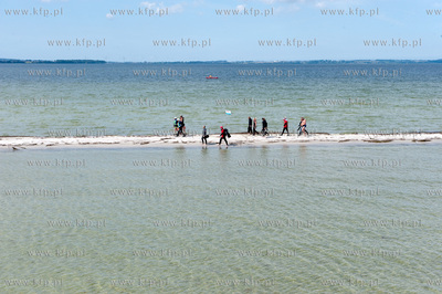 Marsz Sledzia odbywa sie Rybitwia Mielizna (Rewa Mew)...