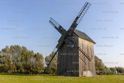 Wiatrak typu paltrak, wybudowany w 1903 roku stojący...