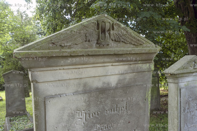 Największy w Polsce, wpisany w 1988 roku do rejestru...