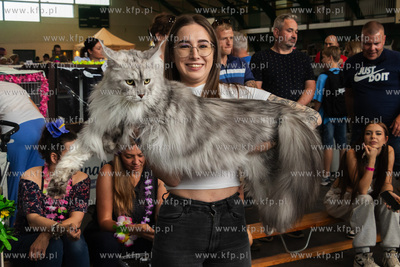 Międzynarodowa wystawa kotów rasowych "Koty na Hawajach"...