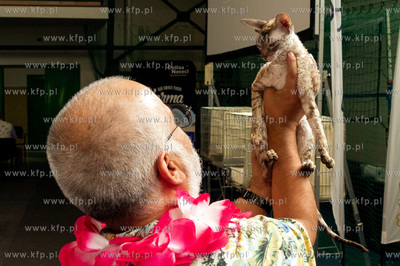 Międzynarodowa wystawa kotów rasowych "Koty na Hawajach"...
