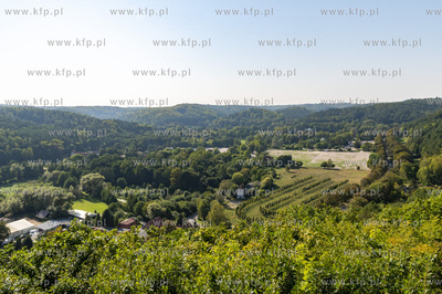 Gdańsk Oliwa, Pachołek. 17.09.2024 Fot. Anna Bobrowska...