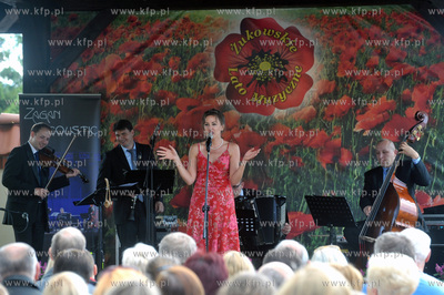 Zukowskie Lato Muzyczne w Zukowie na Kaszubach. Koncert...