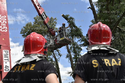 Skutki wichury na Pomorzu.  Raduń na Kaszubach, gmina...