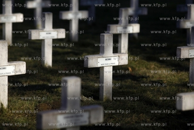 Wojskowy cmentarz francuski w Gdansku.
31.10.2013
fot....