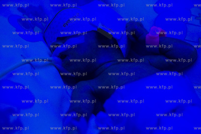 Oddział neonatologiczny Szpitala Specjalistycznego...