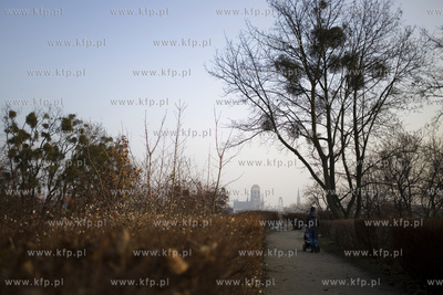 Rewitalizacja parku przy ul. Dąbrowskiego w Gdańsku.
21.12.2016
fot....