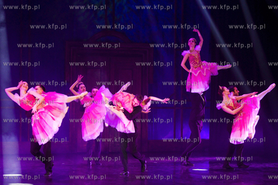 Francuska noc. Koncert sylwestrowy w Operze Bałtyckiej.
30.12.2017
fot....