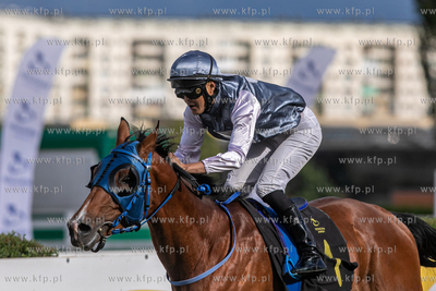 Sopocki Hipodrom. Wyścigi konne. Gonitwa o
Puchar...