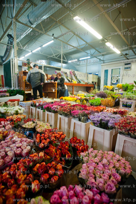 Gdansk. Giełda kwiatowa Dick Inter.
08.03.2013
fot....