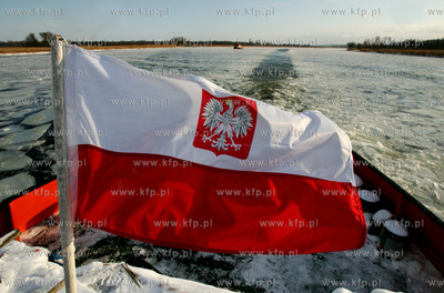 Szczecin. Wspolna akcja polskich ( Dzik, Lis, Zbik,...