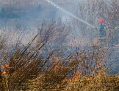 Gdansk. Groznego pozaru na terenie bylego poligonu...