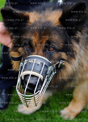 Pruszcz Gdanski. Festyn z okazji XXI dni Pruszcza....