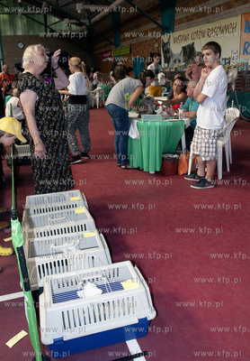 Miedzynarodowa Wystawa Kotor Rasowych w Sopocie.
04.08.2013...