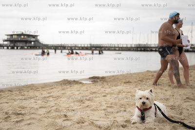 Otwarcie Mariny Puck. Powitanie uczestników maratonu...