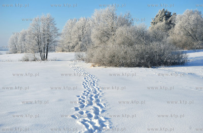 Zima w Sulminie na Kaszubach.
14.01.2010
fot. Maciej...