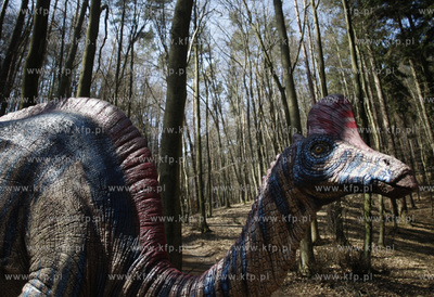 Gdansk. Nowo otwarty park dinozaurow w oliwskim zoo....