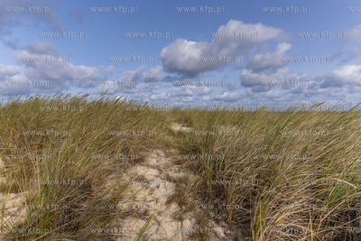 Plaża w okolicy Słajszewa, gdzie ma powstać pierwsza...