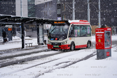 Zima z Gdańsku. Pętla Siedlce. Komunikacja miejska...