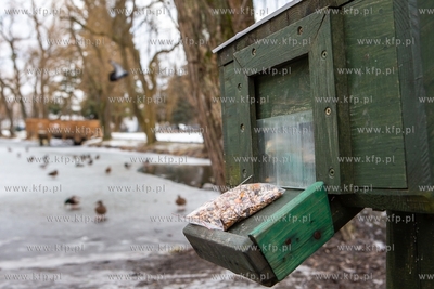Zima w Parku Oruńskim.  Nz. Pojemnik  z darmową karmą...