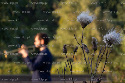 Gdańsk, Jasień. Koncerty nad Stawem Wróbla - Emil...