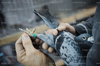Gdansk. Miedzynarodowe Targi Gdanskie SA. 
6. Miedzynarodowe...