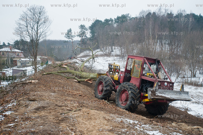 Gdansk. Oliwa. Wycinka drzew pod budowe Pomorskiej...