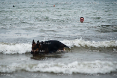 Sopocka plaza przyjazna dla zwierzat. Wprowadzona uchwala...
