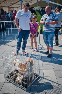 Gdansk. Teren przed stadionem PGE Arena. Miedzynarodowa...